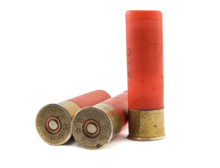 Shotgun Ammo